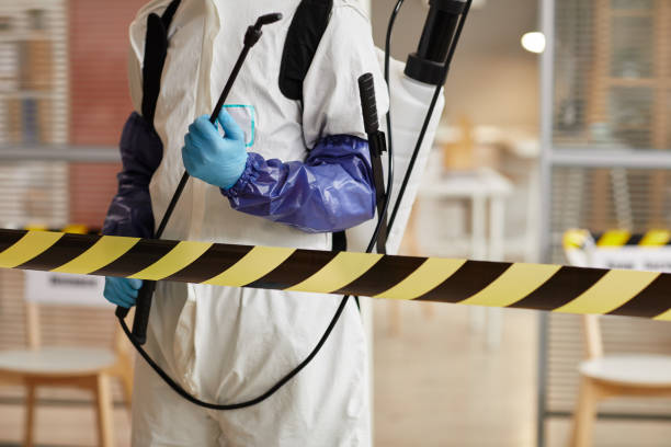 Professional Odor Removal technician working in Coulterville, IL