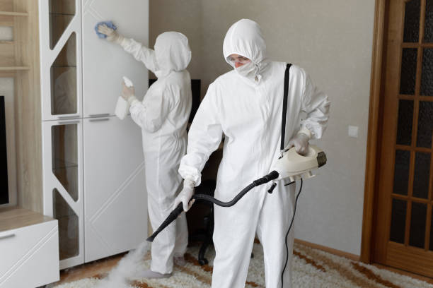 24/7 Emergency Odor Removal experts in Coulterville, IL