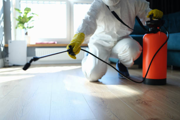 Reliable Odor Removal contractor in Coulterville, IL by Crime Scene Cleaner Online